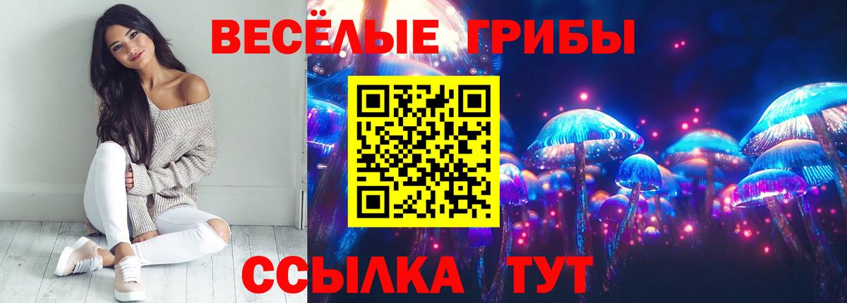 Псилоцибиновые грибы ЛСД Чебоксары