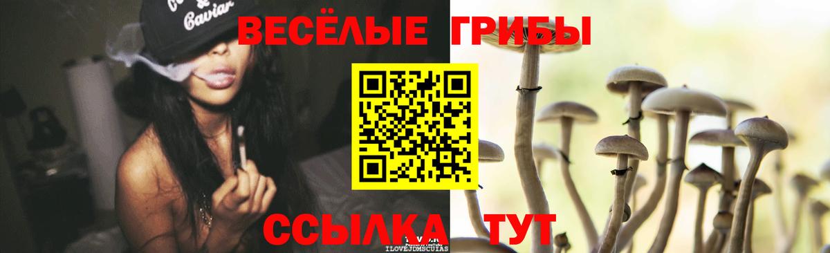 Чебоксары  Галлюциногенные грибы ЛСД  Вход с VPN  Псилоцибиновые грибы мицелий 